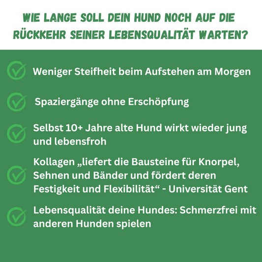 Peptide+ | Natürlich deine Hundegesundheit stärken