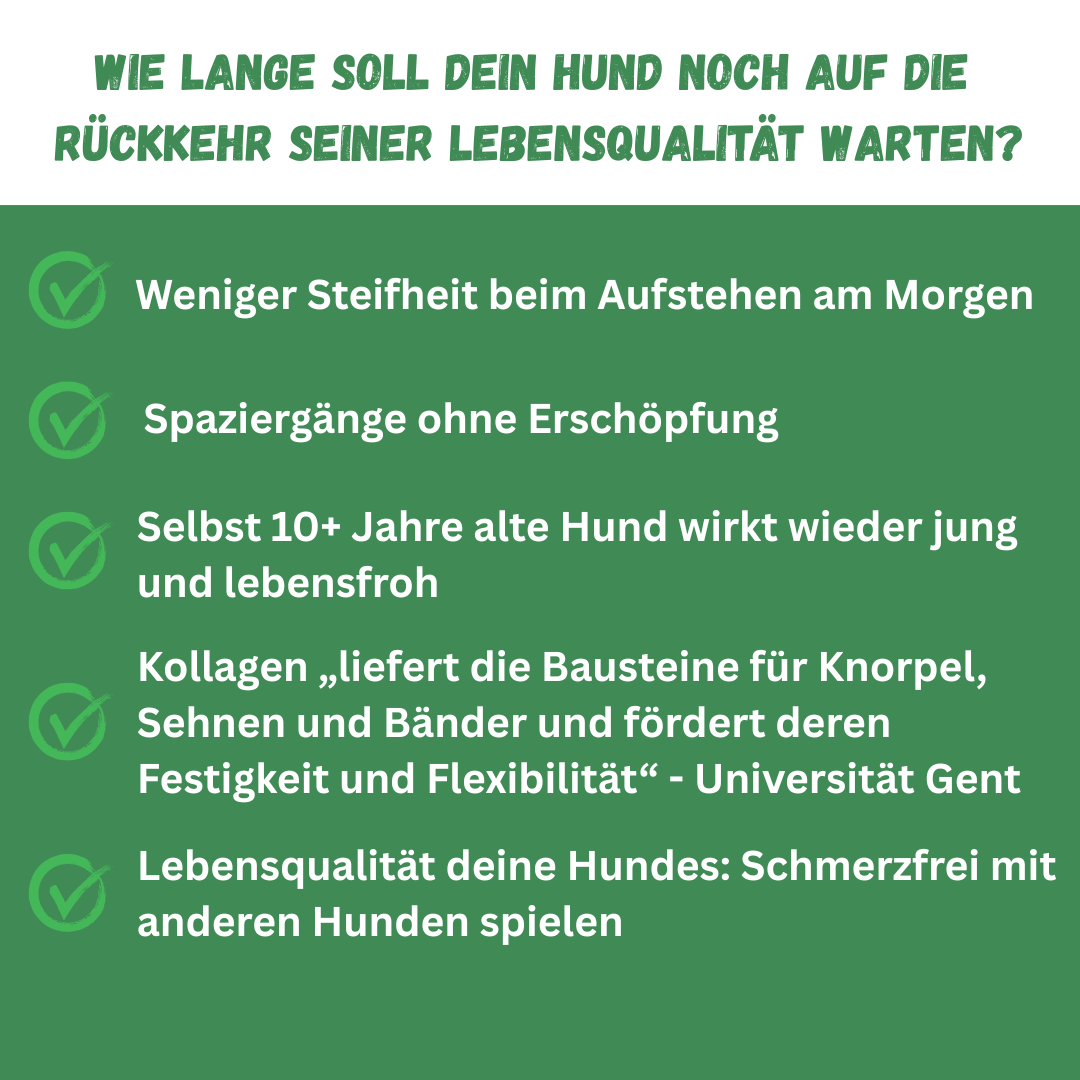 Peptide+ | Natürlich deine Hundegesundheit stärken