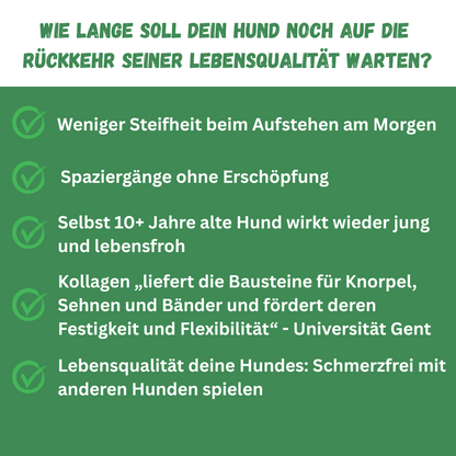Peptide+ | Natürlich deine Hundegesundheit stärken