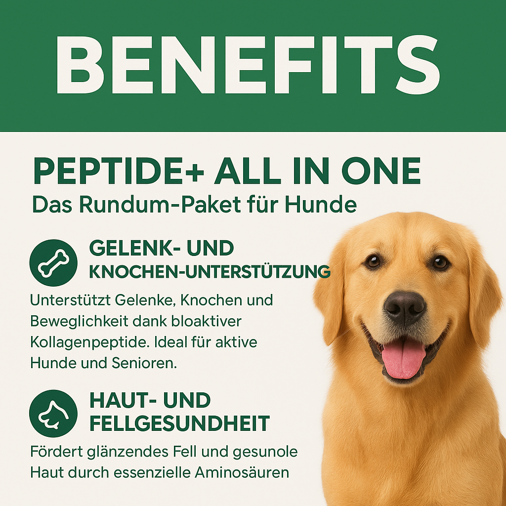Peptide+ | Natürlich deine Hundegesundheit stärken