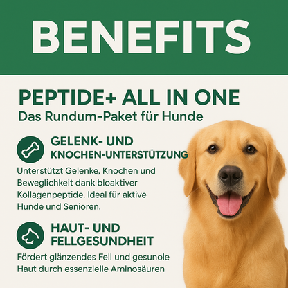 Peptide+ | Natürlich deine Hundegesundheit stärken