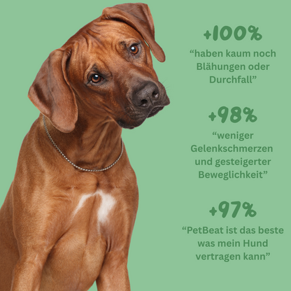 Peptide+ | Natürlich deine Hundegesundheit stärken