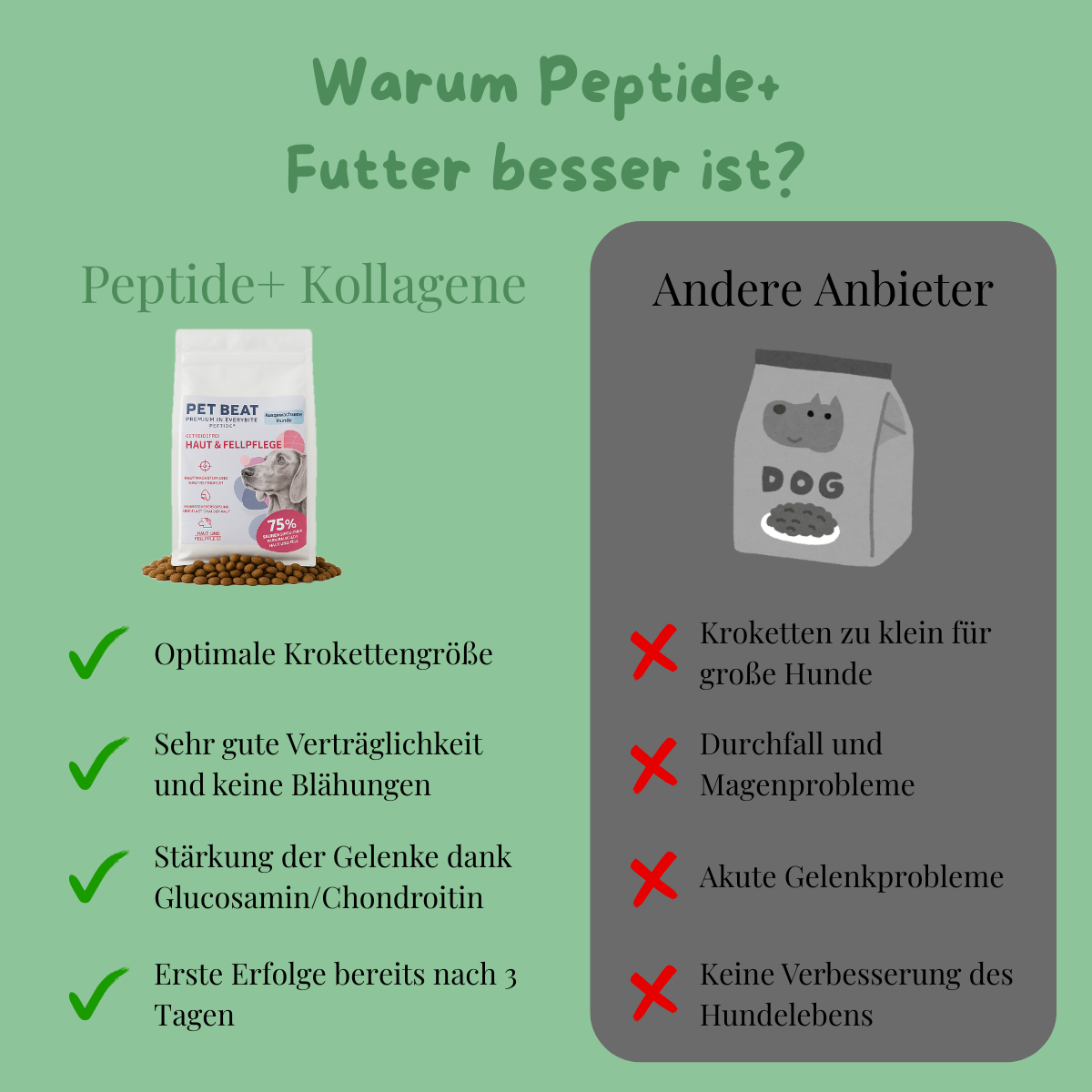 Peptide+ | Natürlich deine Hundegesundheit stärken